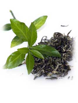 Tea for anti aging Tea leaves